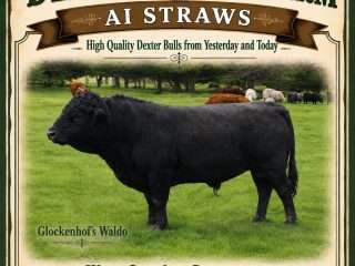 Straws-Glockenhofs-Waldo