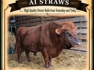 Straws-LRP-Connor-McCloud-