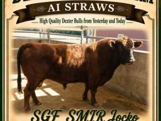 Straws-SGF-SMIR-Jocko