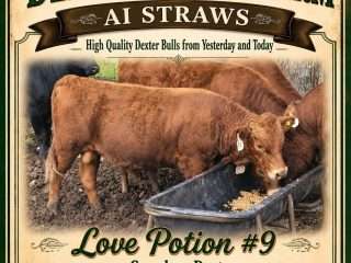 Straws-Tolfree-Farms-Love-Potion-9-