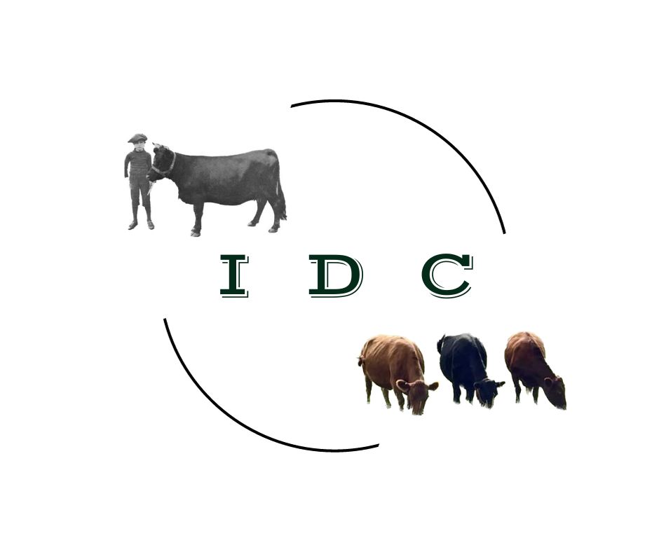 Dashboard irish dexter cattlemen