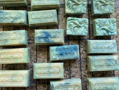 Nubian goat and Dexter cow milk soaps
