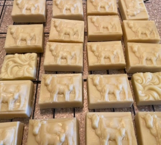 Nubian goat and Dexter cow milk soaps