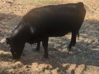 20240905_090428-Small