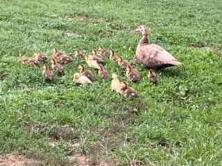 7E8FA577-C25D-4C6B-A96F-108488B4F3F6