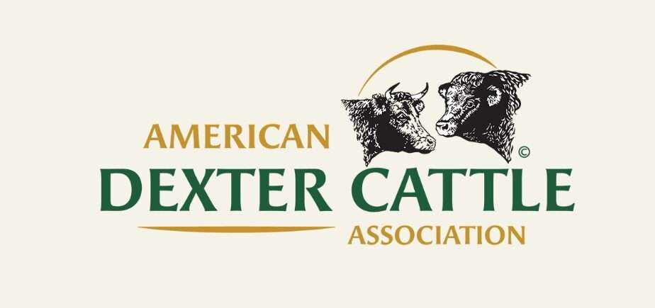 American Dexter Cattle Association Membership