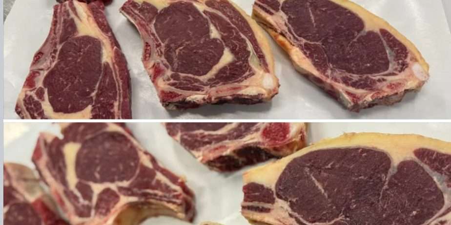 Cattle Processing/Butchering