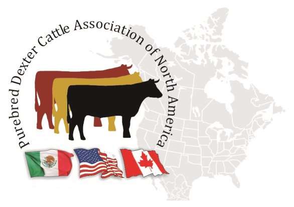 Dexter Cattle Registry and Association