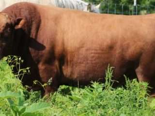 589550743_681030844891052_6413948413955534707_n