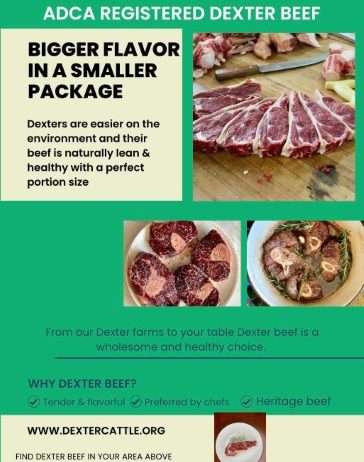 American Dexter Cattle Association