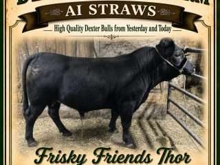 Frisky-Friends-Thor