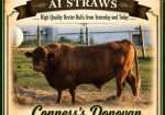 Conness’s Donovan – AI Straws