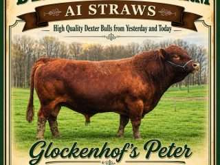 Straws-Glockenhofs-Peter