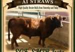 SGF SMIR Jocko – AI Straws