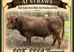 SGF SSEA Trapper AI Straws