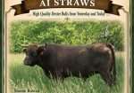 Shome Rowan AI Straws