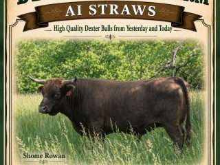 Straws-Shome-Rowan