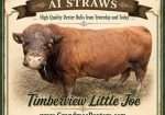 Timberview Little Joe – AI Straws
