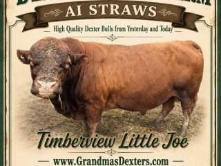 Straws-Timberview-Little-Joe