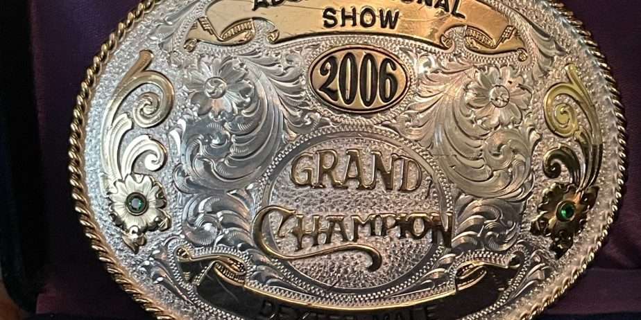 White-O-Morn Chief AI Straws from 2x National Grand Champion Bull