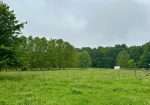 Farm with 10 acres, house w basement, barn & outbuildings, pastures
