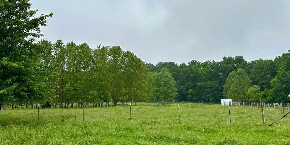 Farm with 10 acres, house w basement, barn & outbuildings, pastures